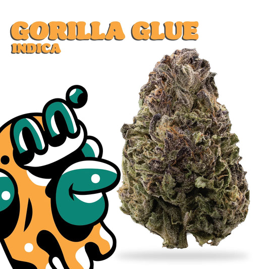 gorilla glue review