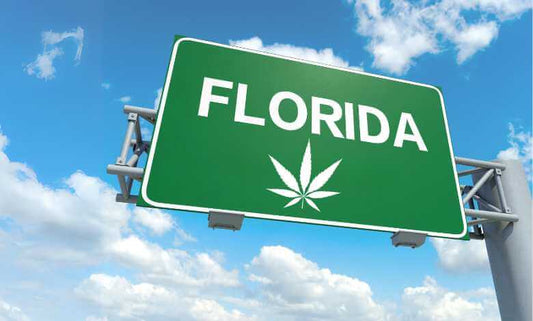 Can You Buy THCA in Florida? Just Buy It Online. - The DopeSpot.Store