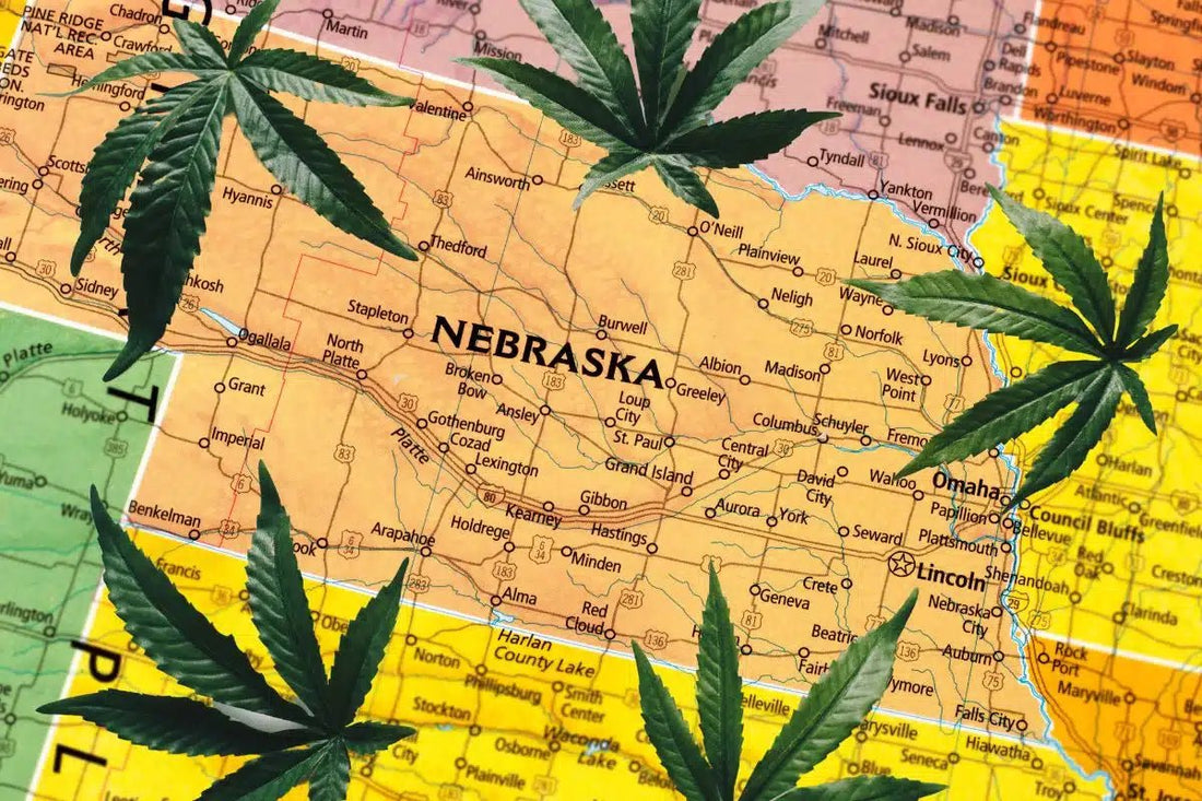 Nebraska Takes Major Steps Towards Marijuana Legalization - The DopeSpot.Store