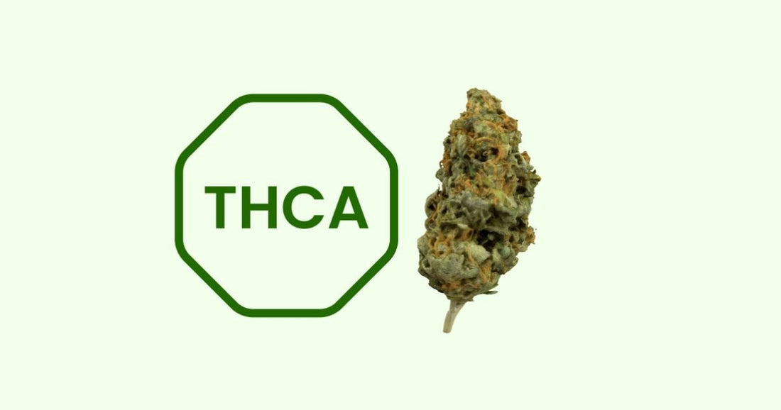 Real THCA vs Fake: A Comprehensive Guide to Navigating the THCA Market - The DopeSpot.Store