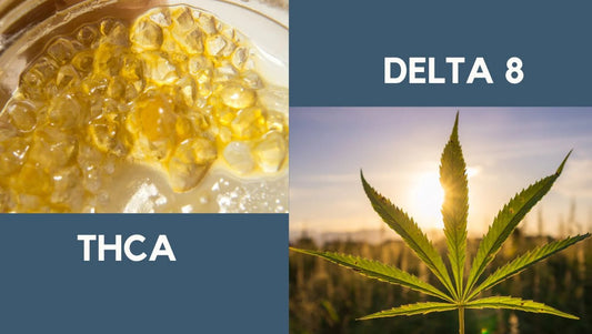 THCa Vs. Delta-8: What's The Difference? - The DopeSpot.Store