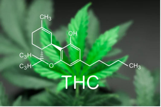 Unveiling the Complexities of THC: A Comprehensive Guide to Different Types - The DopeSpot.Store