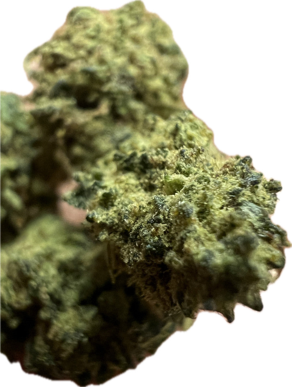 Experience the Vibe with Sour Hawaiian Haze Sativa Flower Bliss - 7G