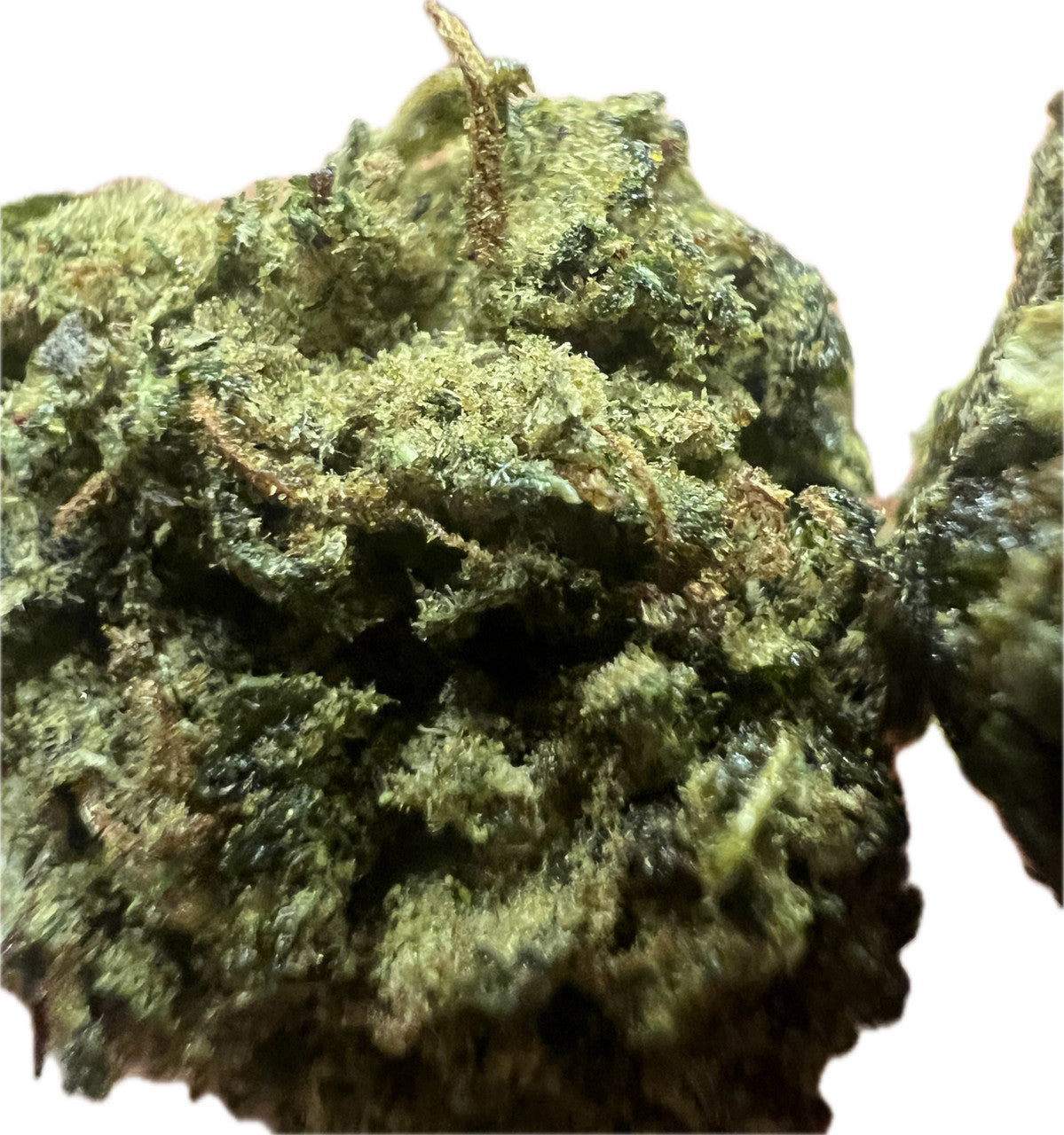 Experience the Vibe with Sour Hawaiian Haze Sativa Flower Bliss