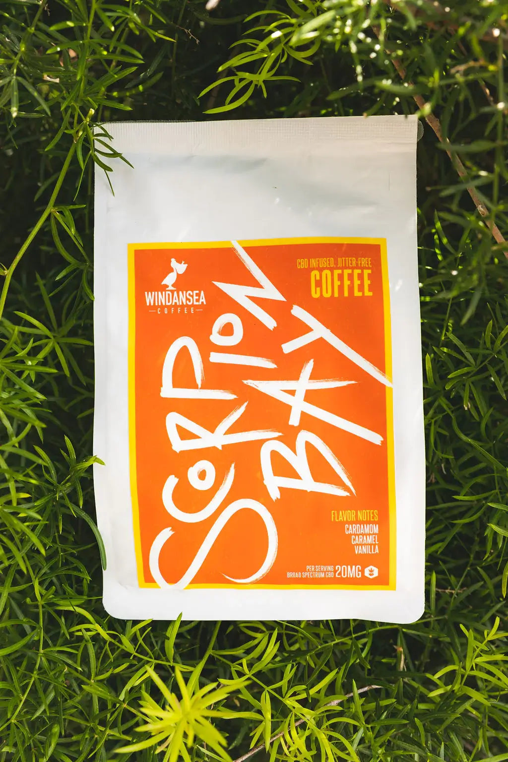 Scorpion Bay | Coffee - Medium/Dark Roast