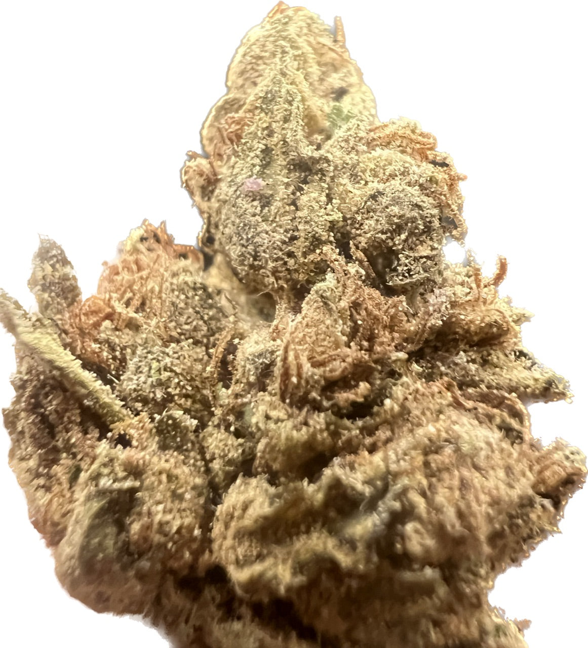 Unleash Creativity with Frosty CBG – Buy Delta 8 THC Today! - 3.5G