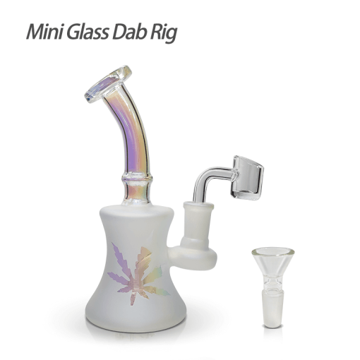 Elevate Your Experience with the Premium Mini Glass Dab Rig Kit!