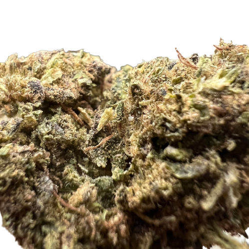 Ripkitty Super Sour Diesel – CBG Kiefed – Terped CBD Flower