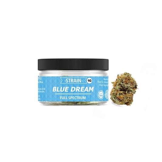 Jar of Blue Dream cannabis next to bud, perfect for Cloud N9ne CBD lovers