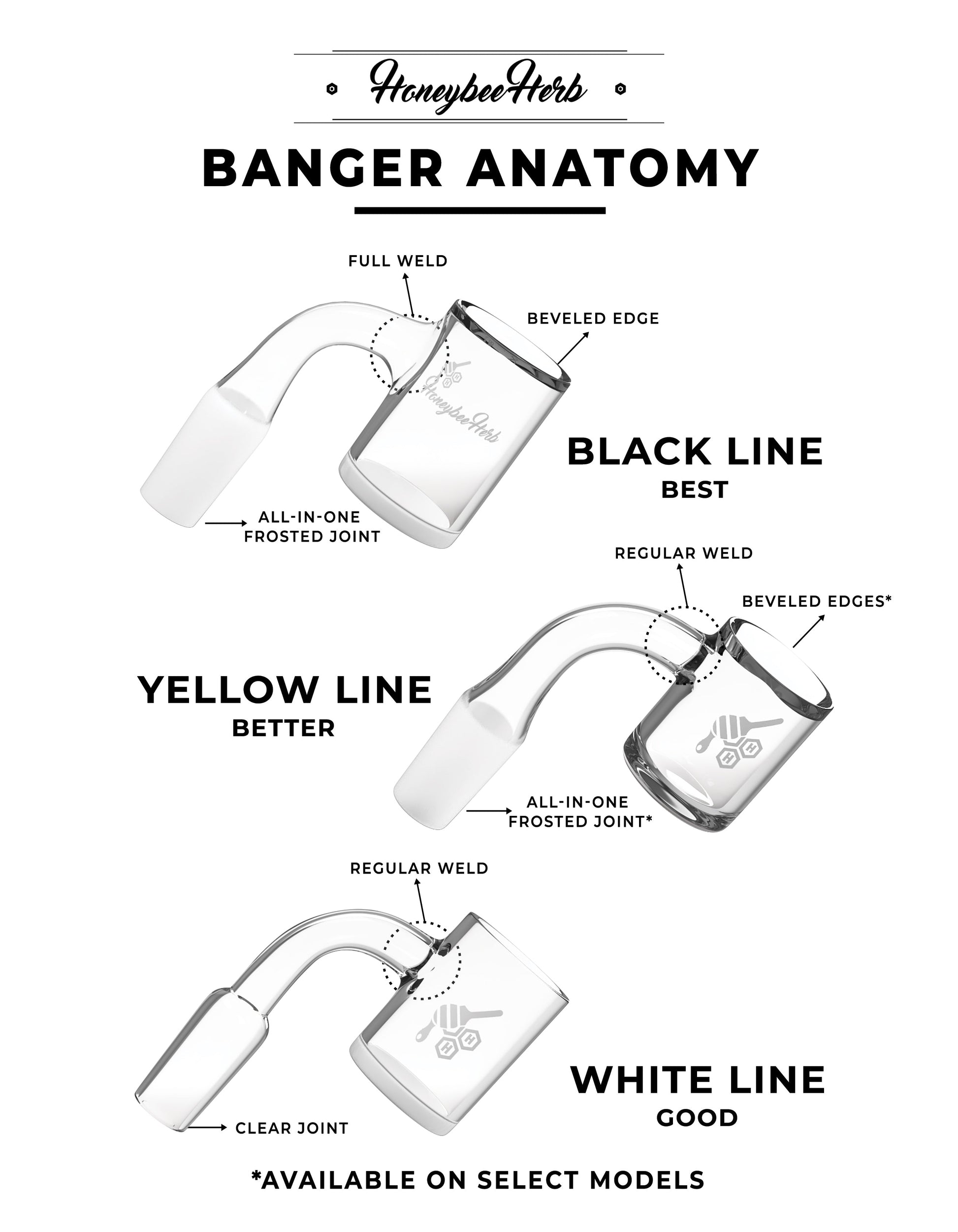 Diagram showcasing bangers and sausages with styles for the Honeysuckle Bevel Terp Slurper